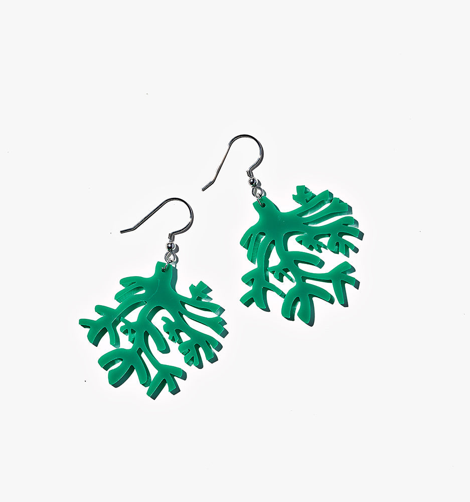 acrylic earrings