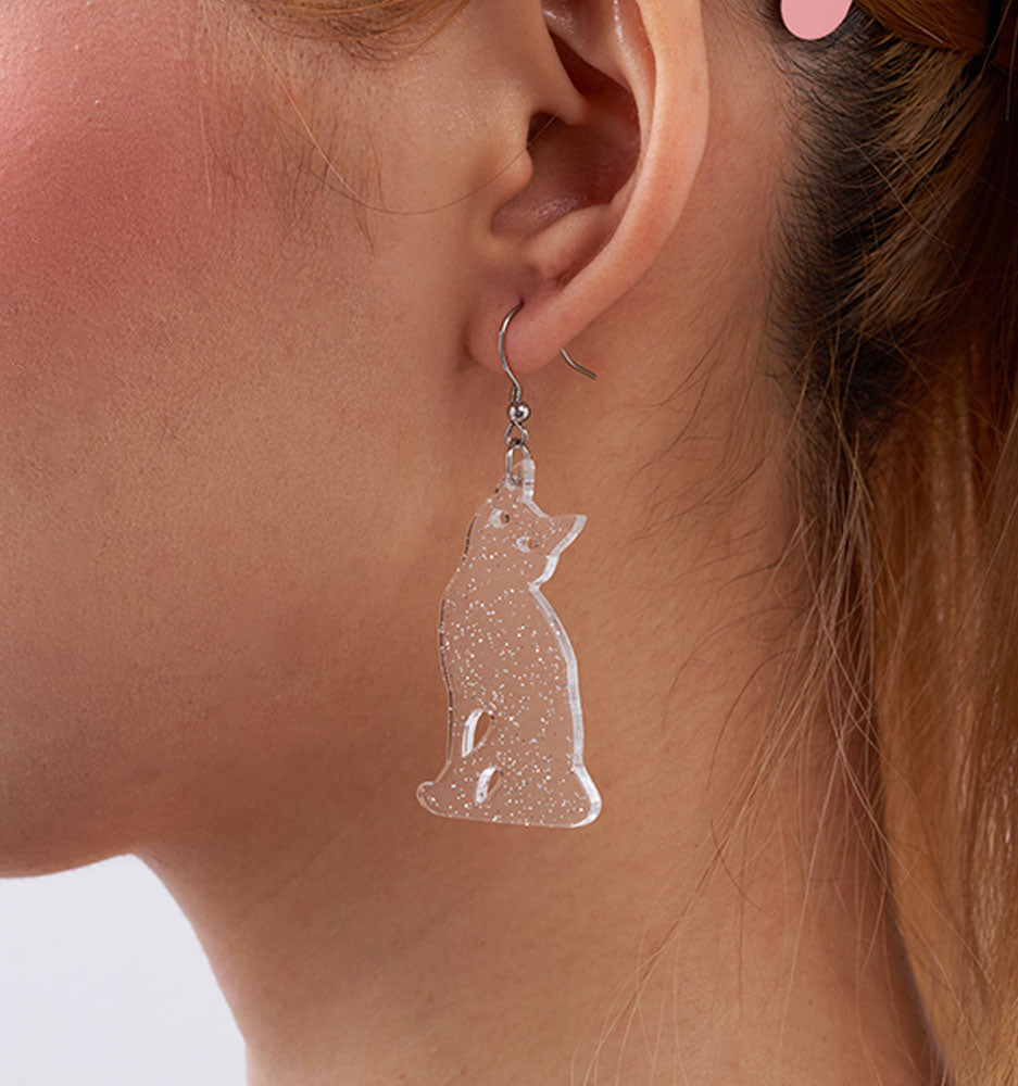 acrylic earrings